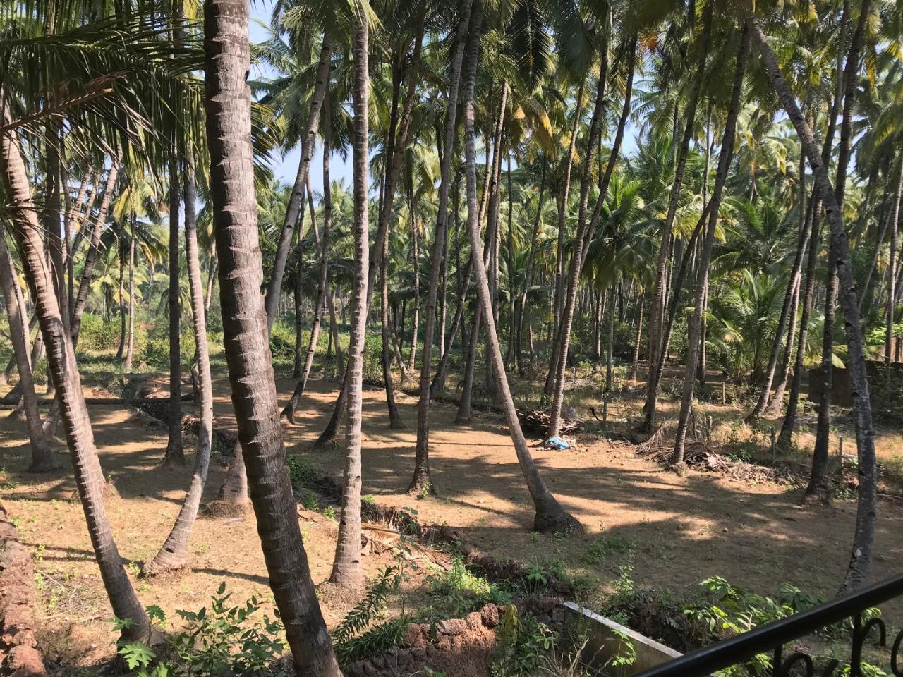 All Seasons Guest House Vasco Da Gama Luaran gambar